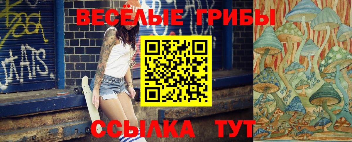 Псилоцибиновые грибы Magic Shrooms Гурьевск